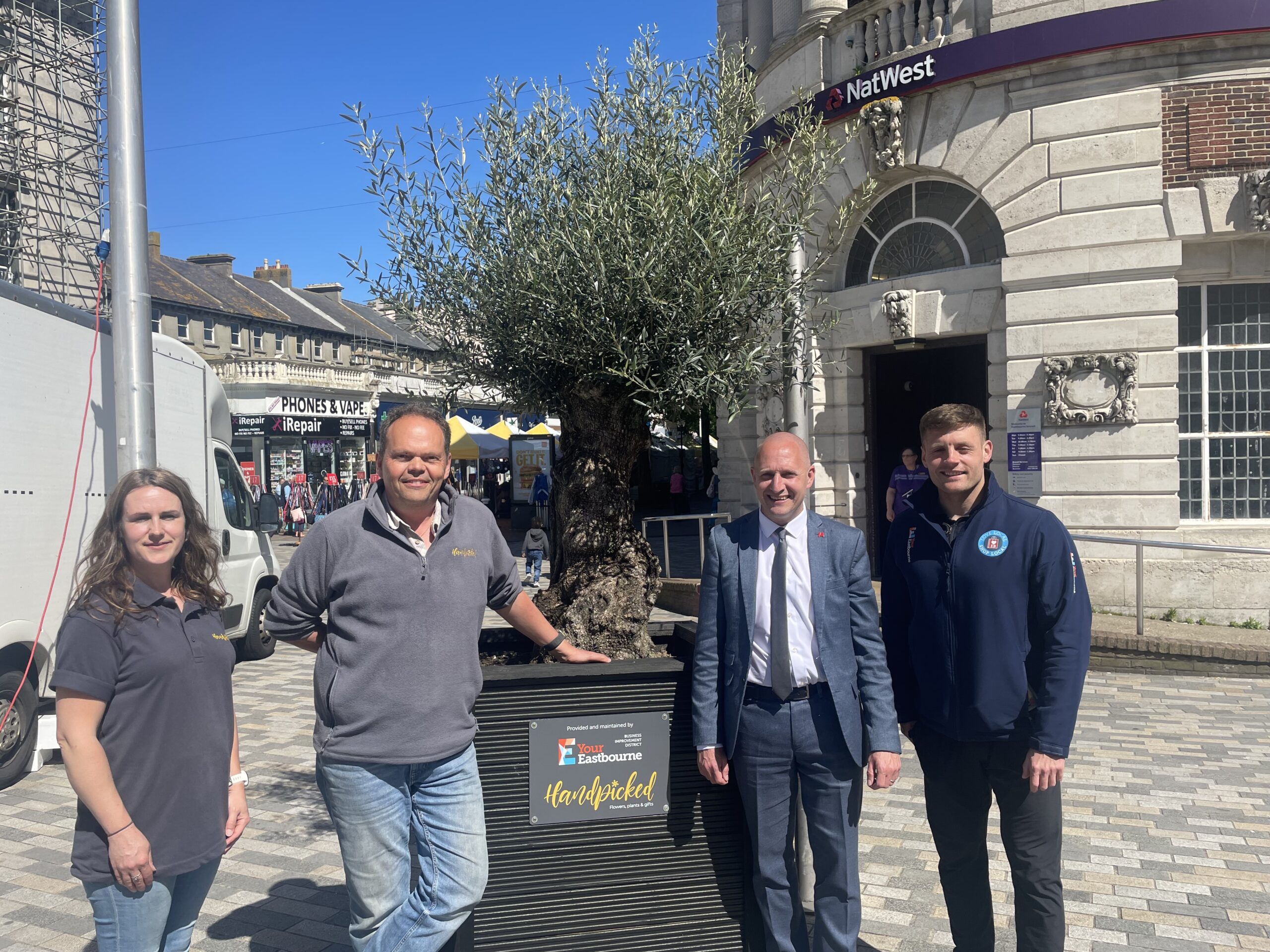 New Olive Trees for Town Centre